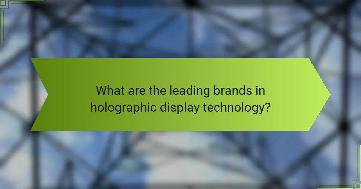 What are the leading brands in holographic display technology?