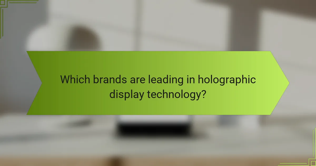 Which brands are leading in holographic display technology?