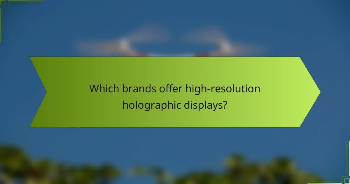 Which brands offer high-resolution holographic displays?